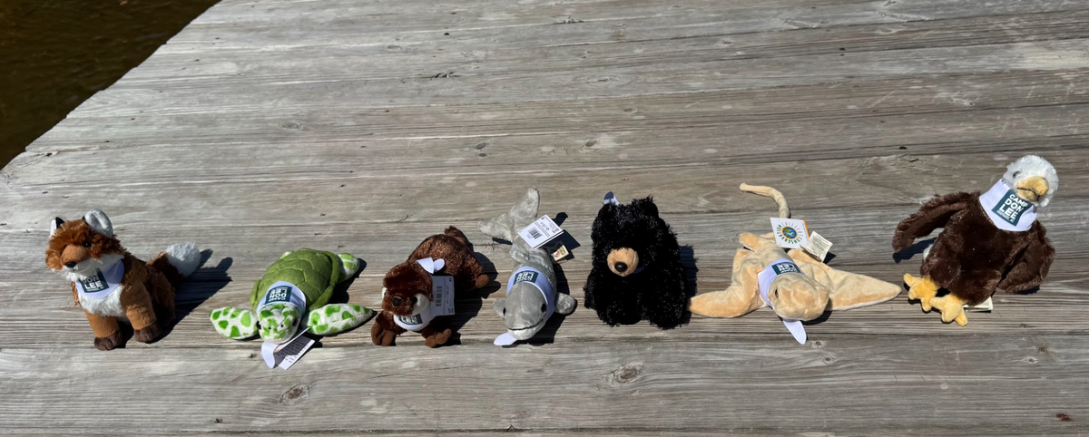 CDL - Stuffed Animals