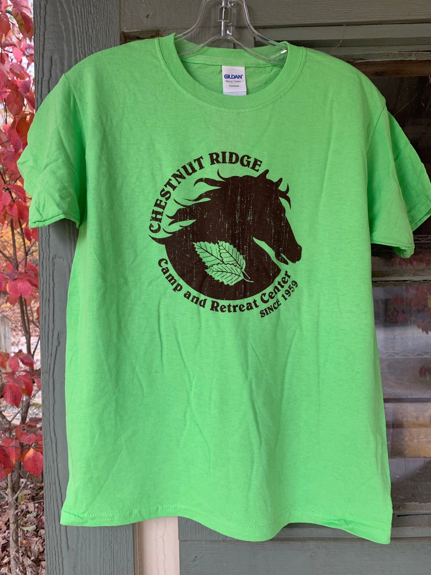 CR - Horse Shirt - Green