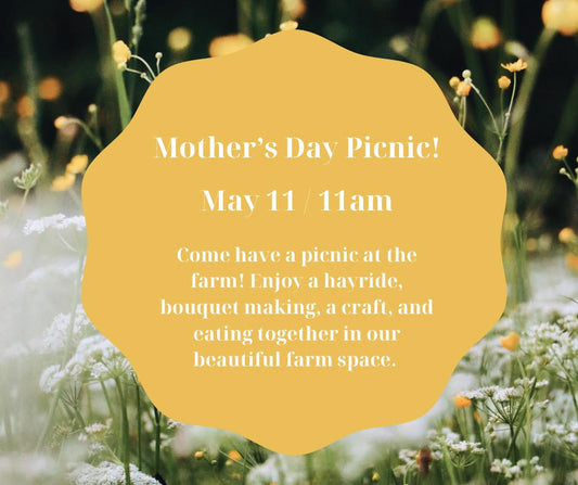 CR - Mother's Day Picnic Registration 2024 - $10 Per Person