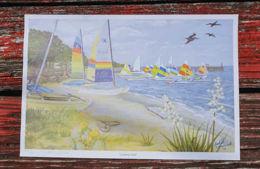 CDL- Sailboat Print "Looking East"